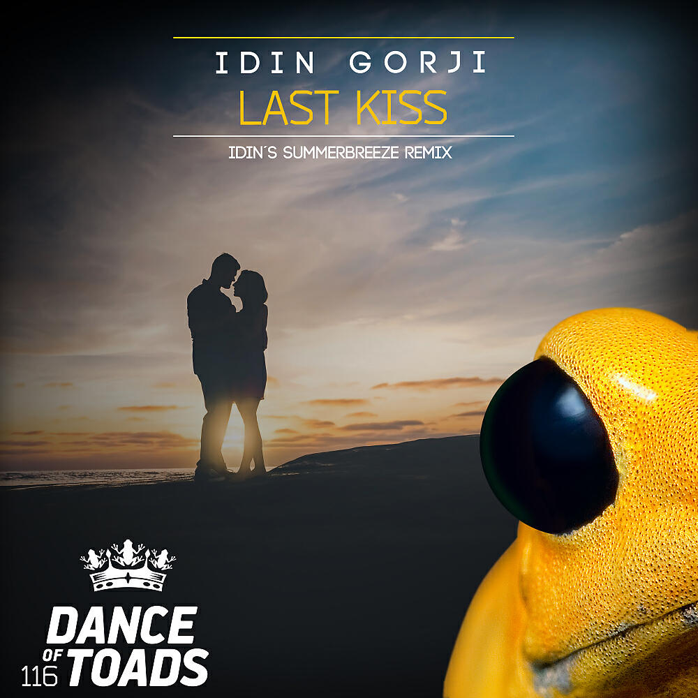 Idin Gorji - Last Kiss (Idin's Summerbreeze Edit)