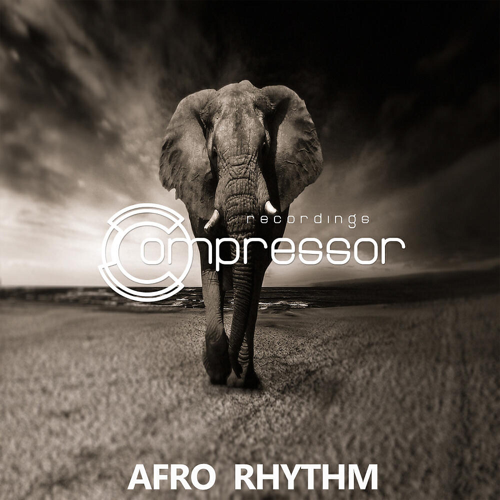 Tookroom - Rhythm (Sergii Petrenko Remix)