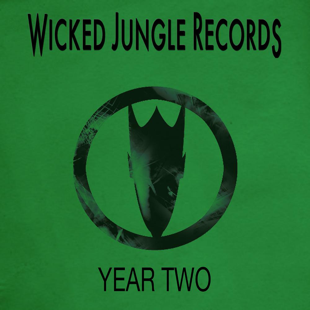 Постер альбома Wicked Jungle: Year Two