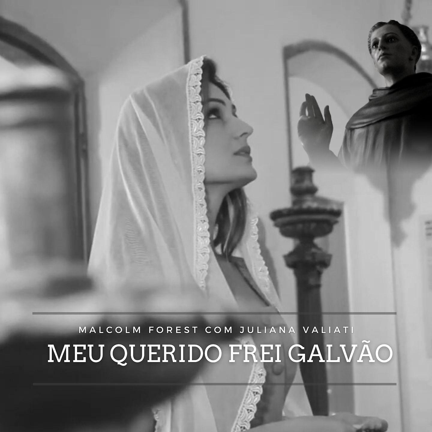 Постер альбома Meu Querido Frei Galvão