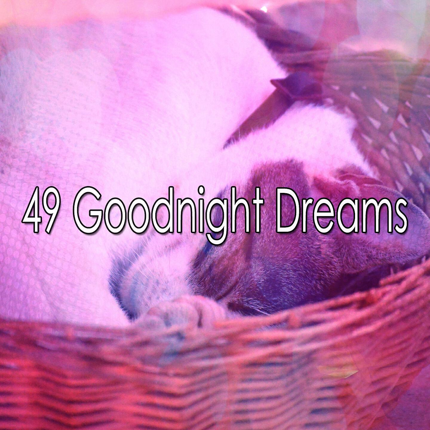 Best Relaxing SPA Music - Freed from Insomnia