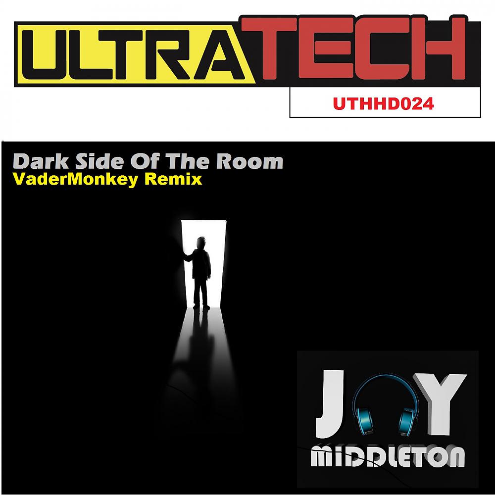 Постер альбома Dark Side of The Room (VaderMonkey Remix)