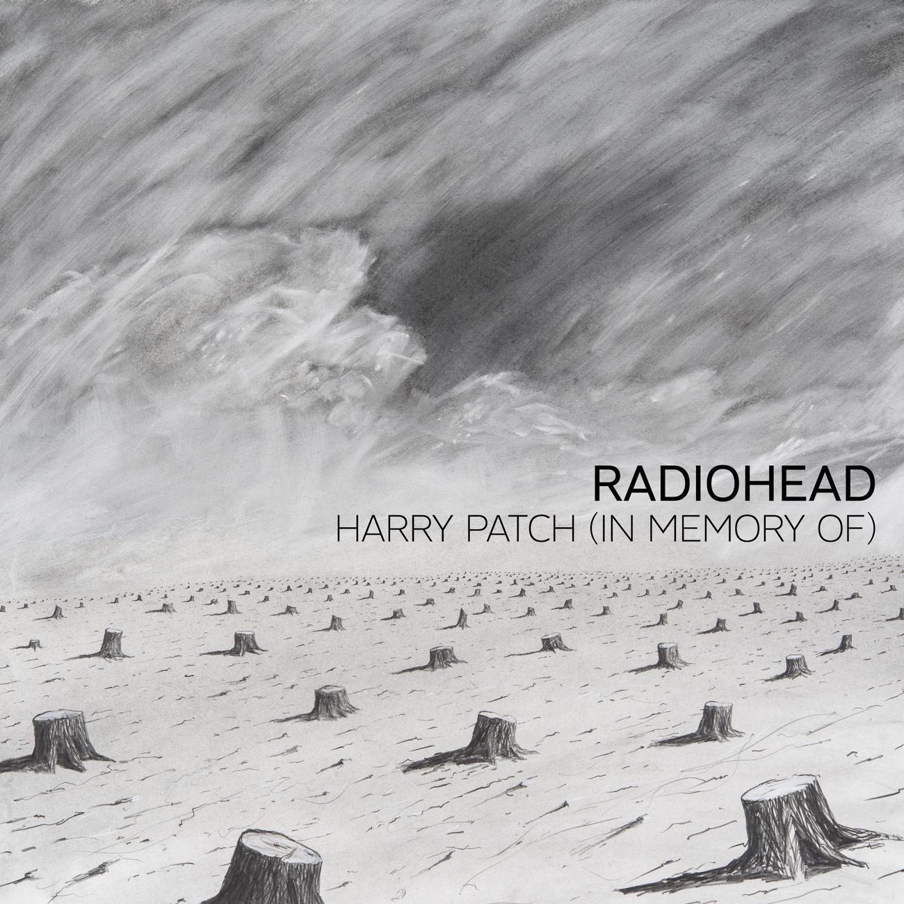 Постер альбома Harry Patch (In Memory Of)