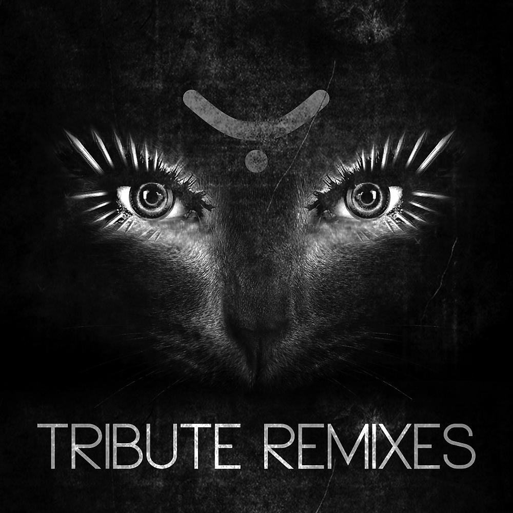 Постер альбома Tribute Remixes