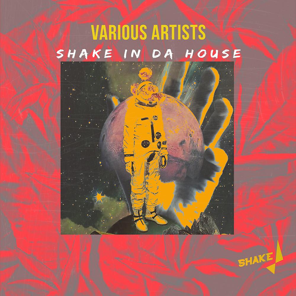 Постер альбома Shake In Da House