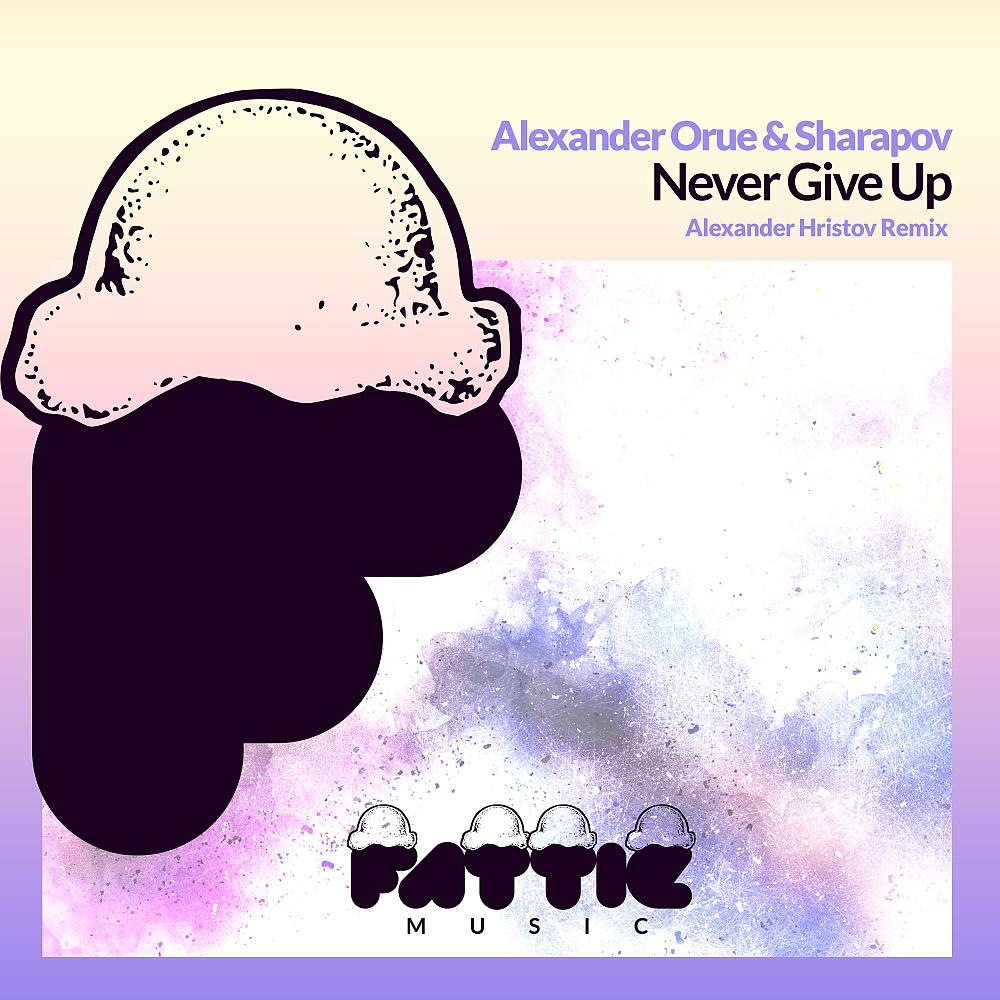 Постер альбома Never Give Up (Alexander Hristov Remix)