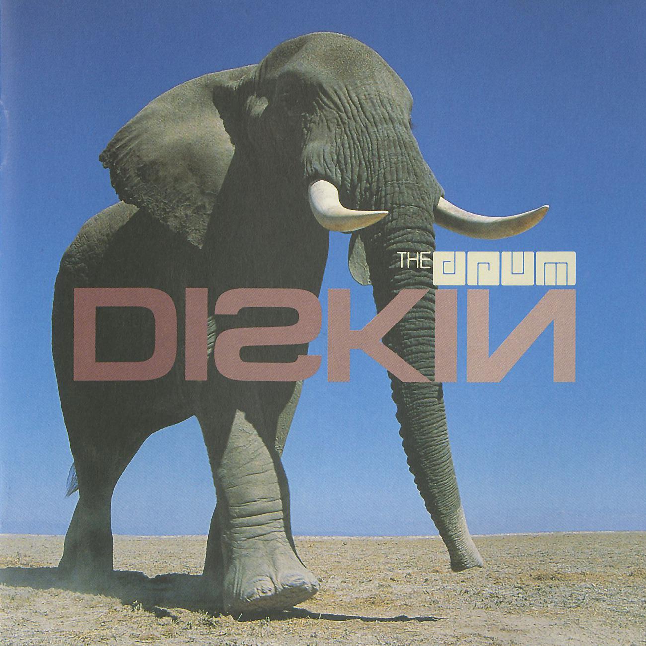 Постер альбома Diskin