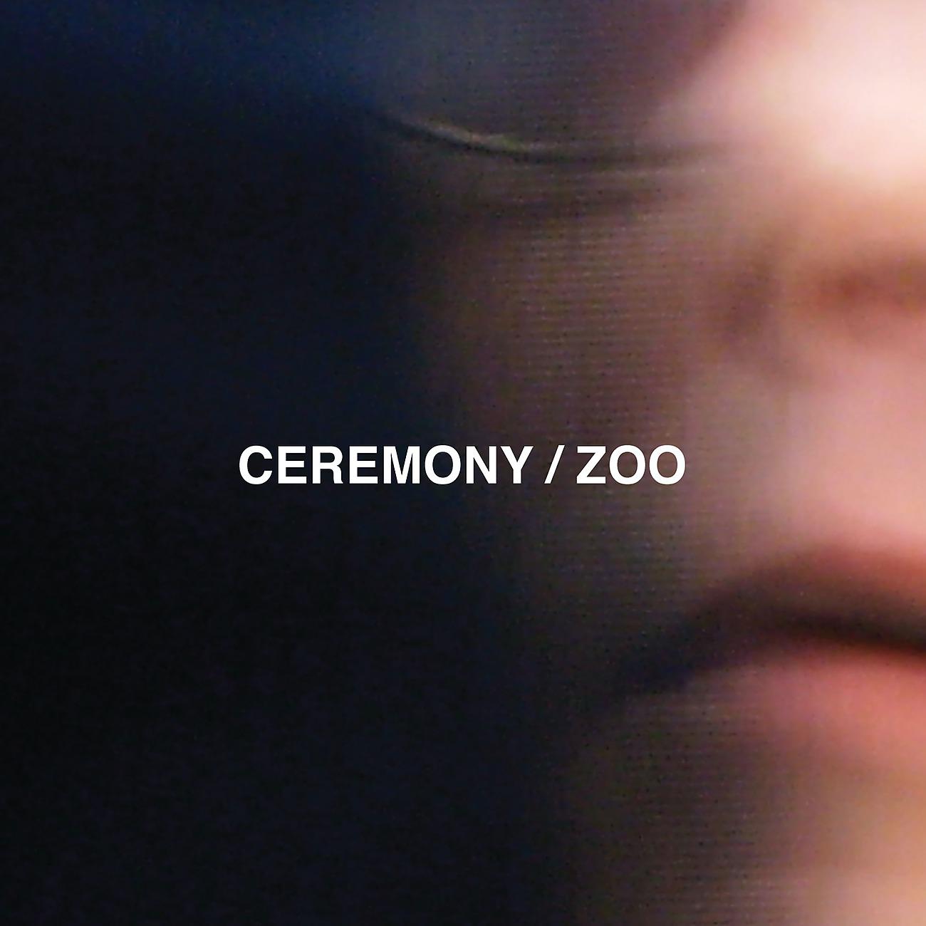 Постер альбома Zoo