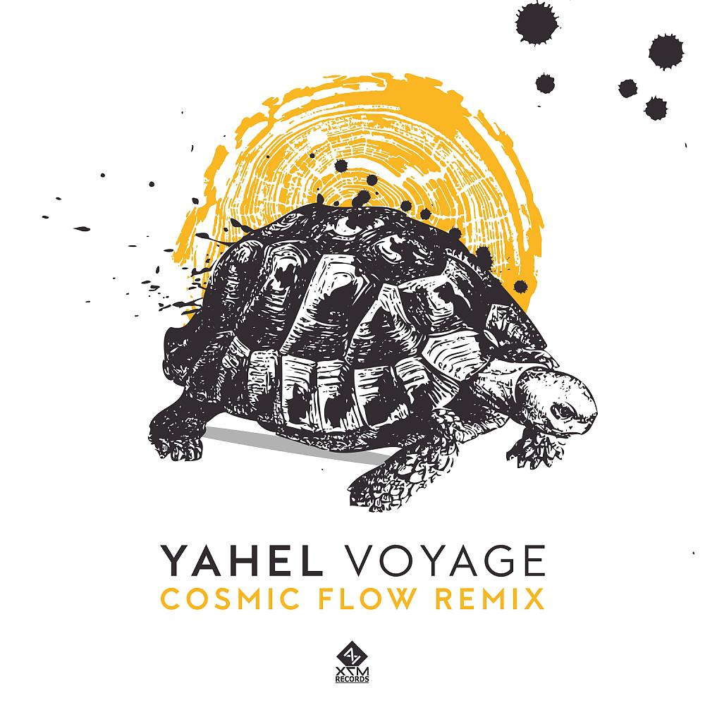 Постер альбома Voyage (Cosmic Flow Remix)