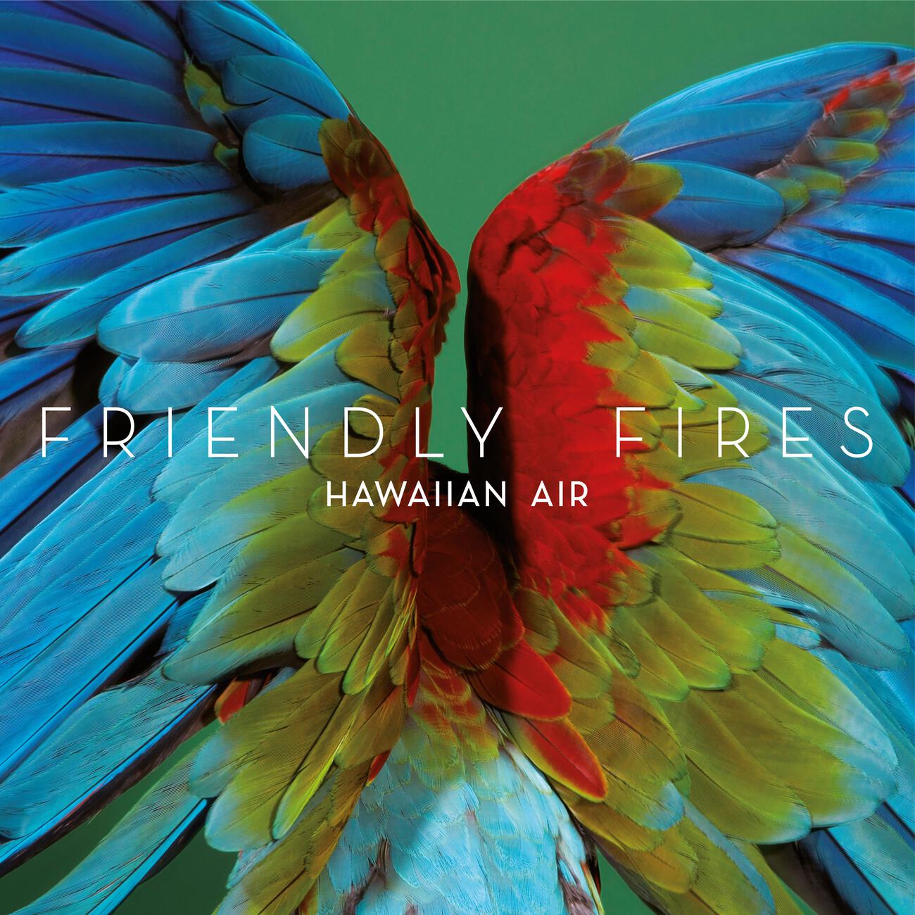 Friendly Fires - Hawaiian Air (Seiji Remix)