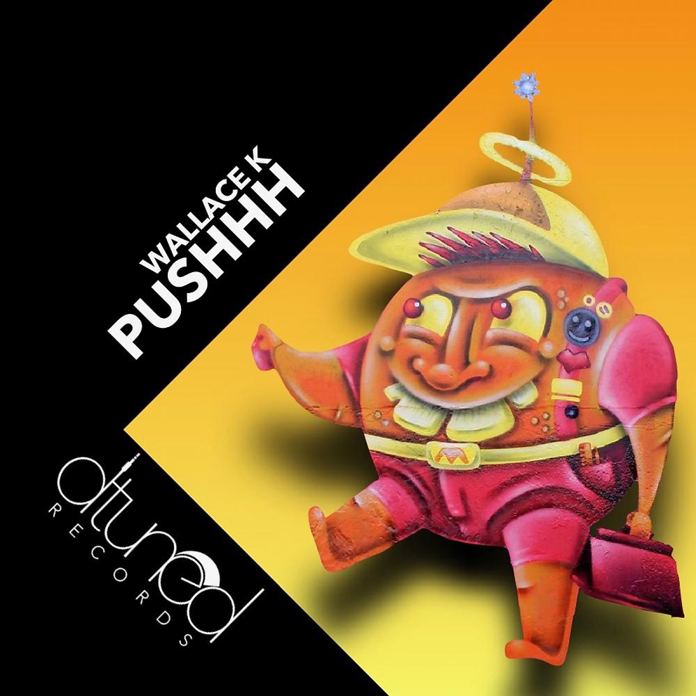 Постер альбома Pushhh