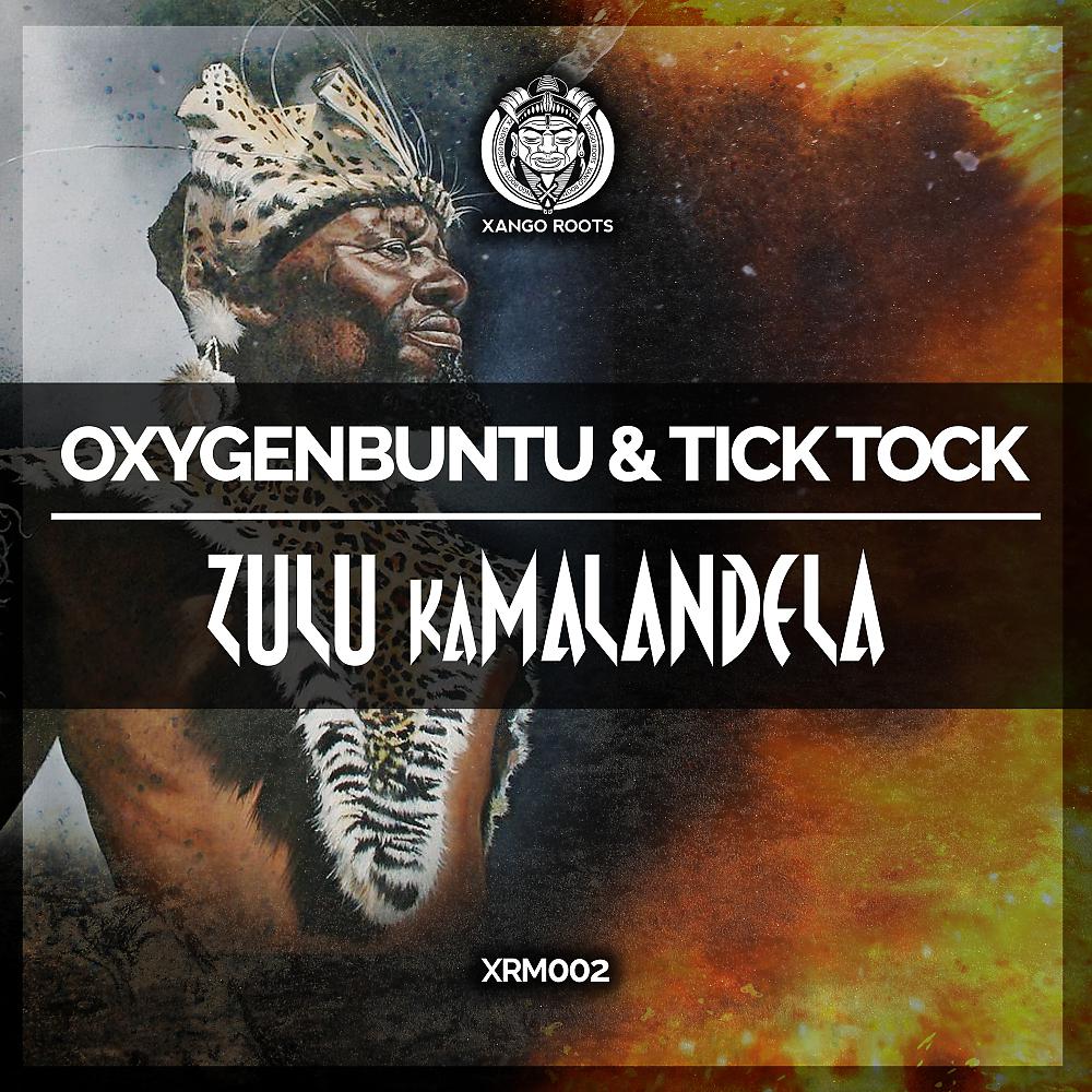 Постер альбома Zulu kaMalandela