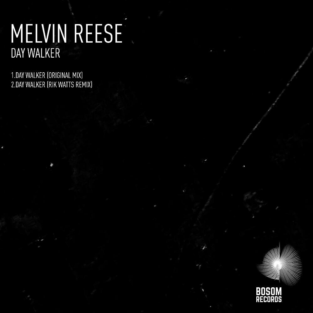 Melvin Reese - Day Walker (Original Mix)