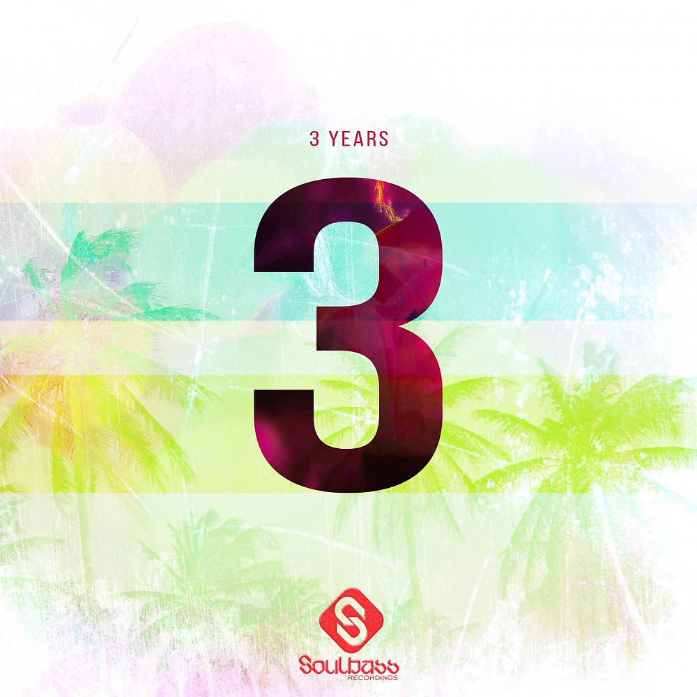 Постер альбома Soulbasss 3 Years