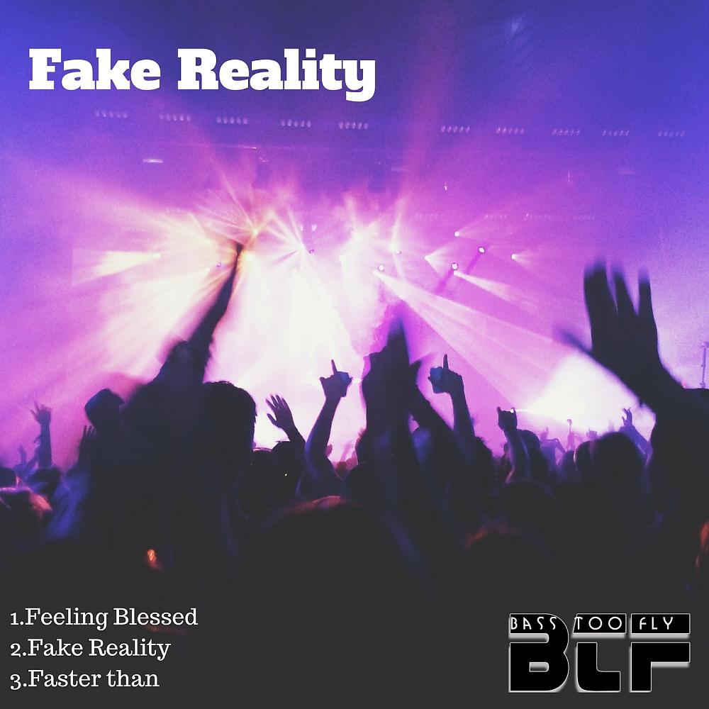 Постер альбома Fake Reality
