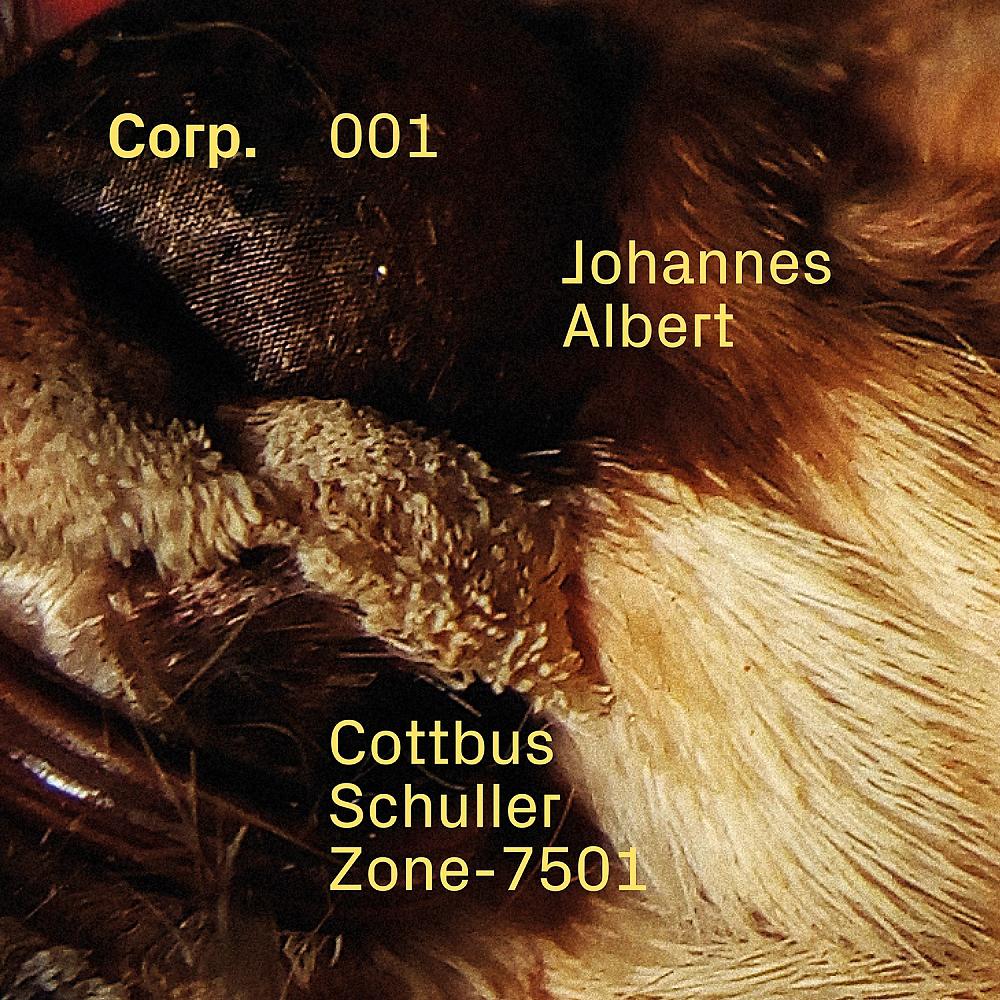 Постер альбома Cottbus