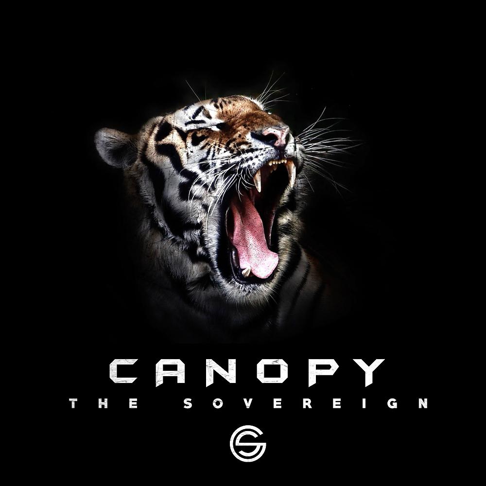 Постер альбома Canopy