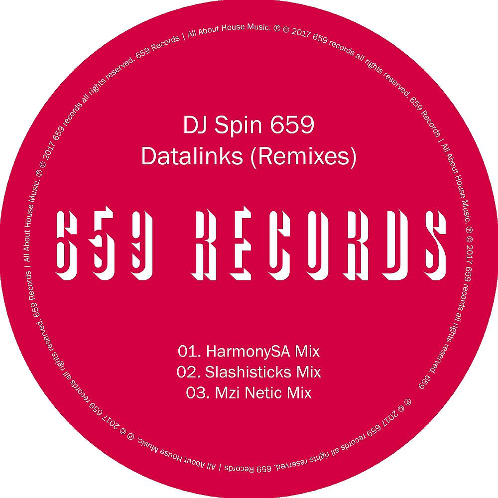 DJ Spin 659 - Datalinks (Mzi Netic Remix)