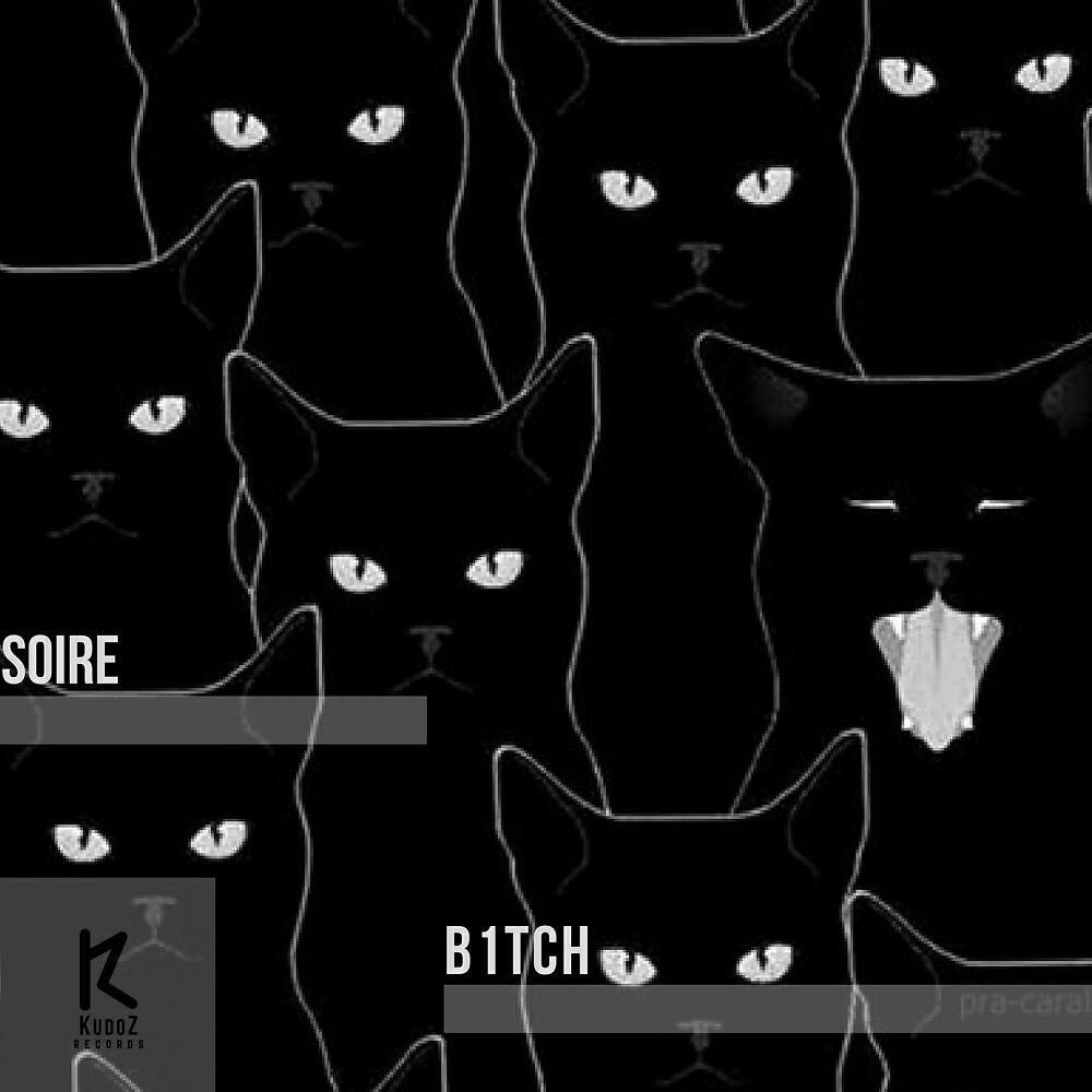 Soire - B1TCH (Original Mix)
