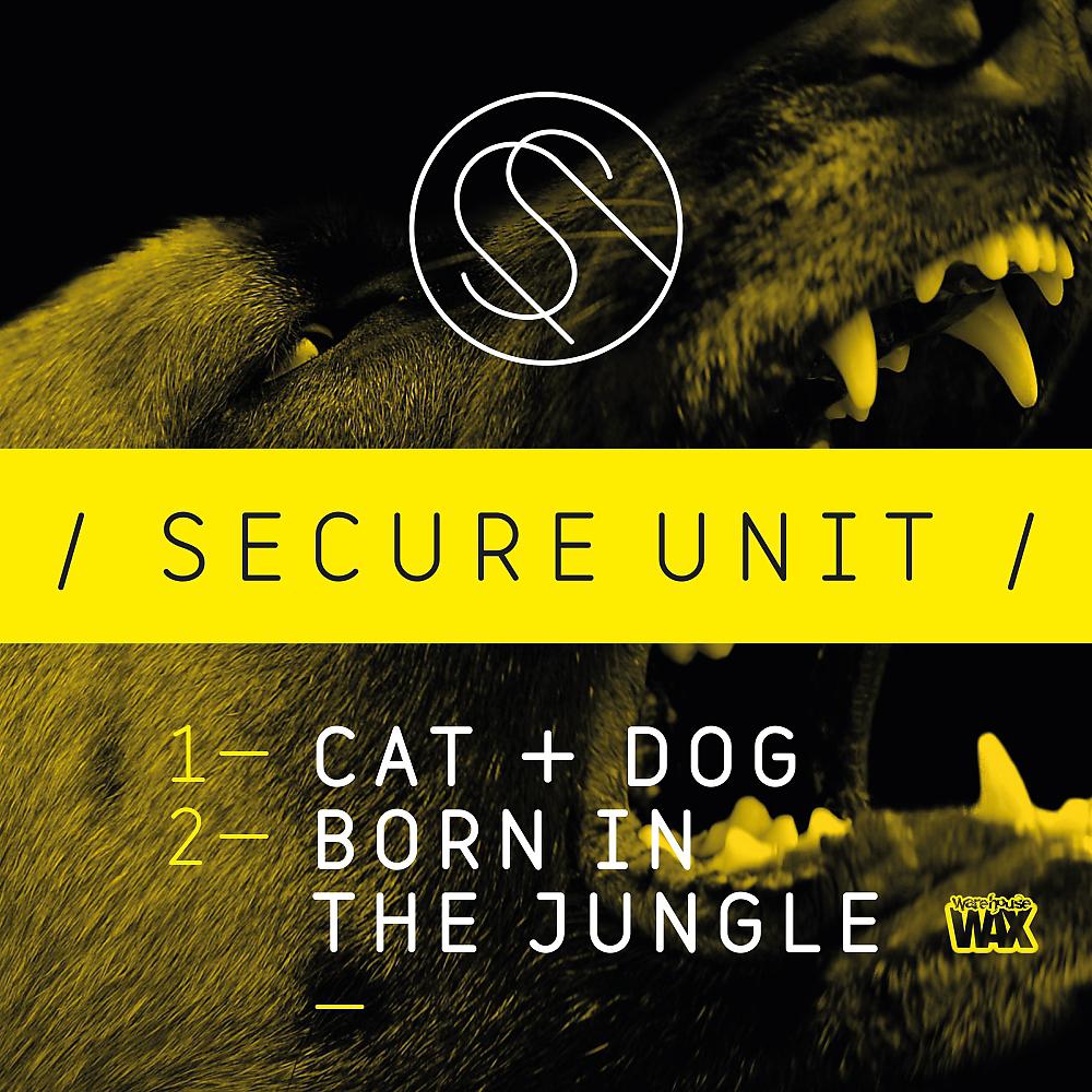 Постер альбома Cat & Dog / Born In The Jungle