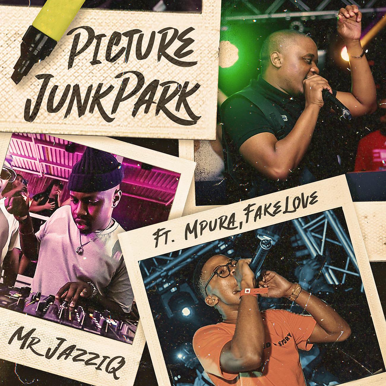 Постер альбома Picture JunkPark