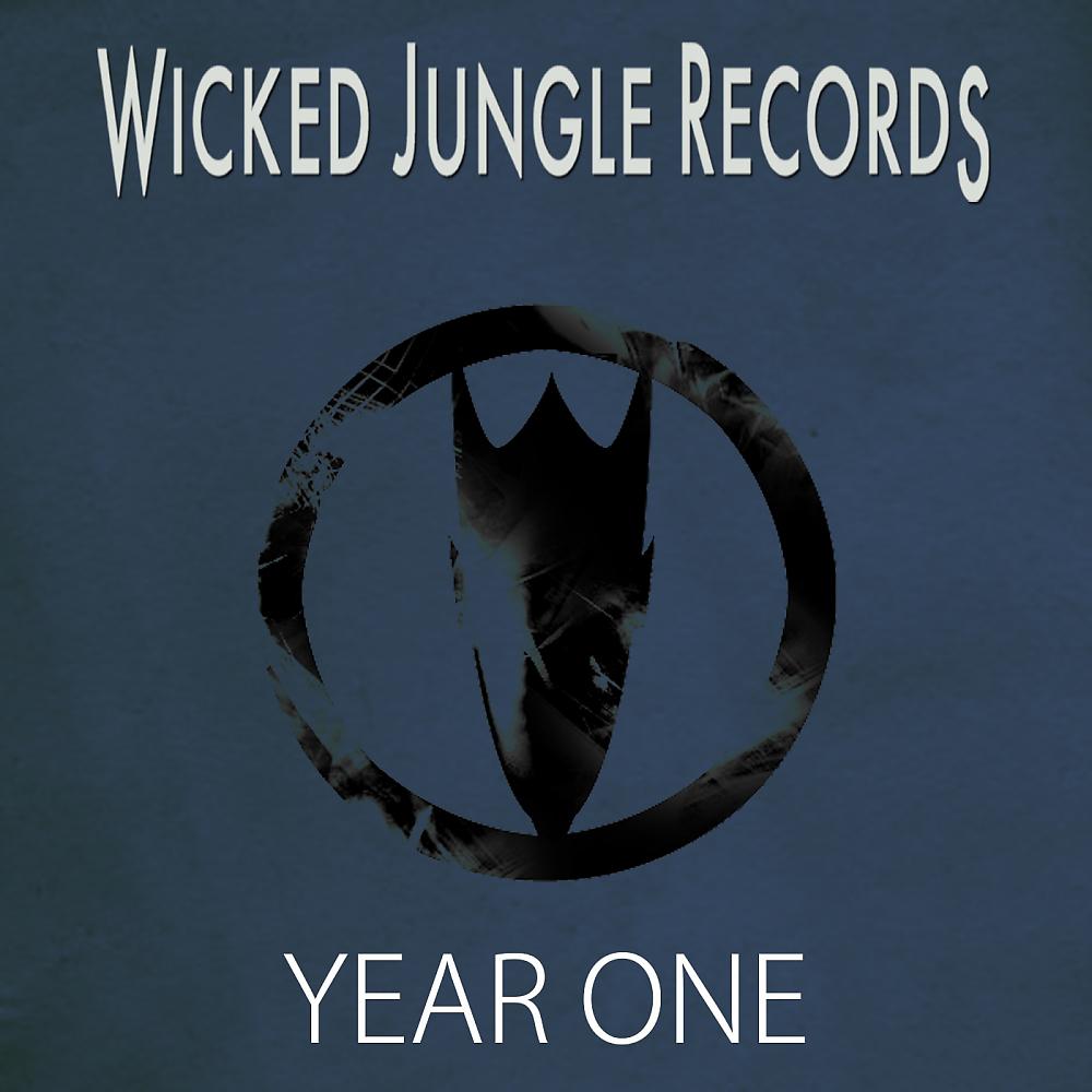 Постер альбома Wicked Jungle - Year One