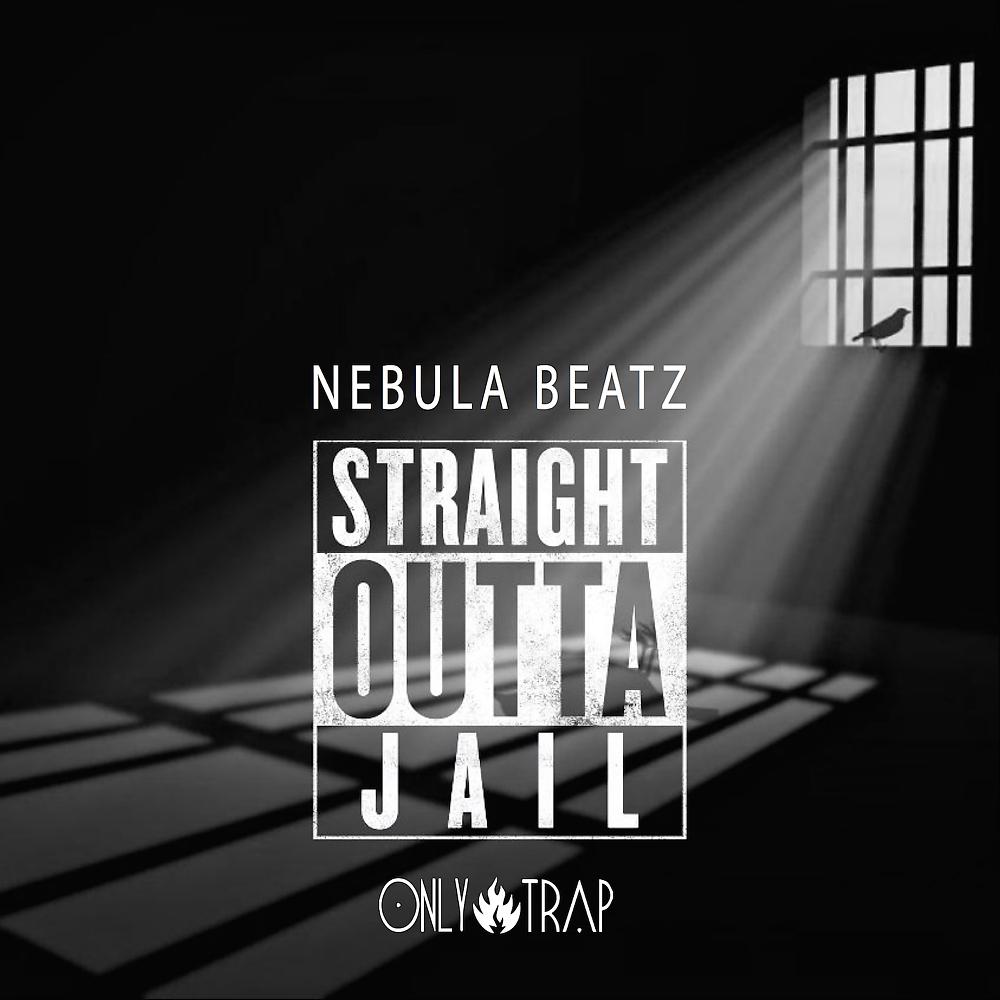 Постер альбома Straight Outta Jail