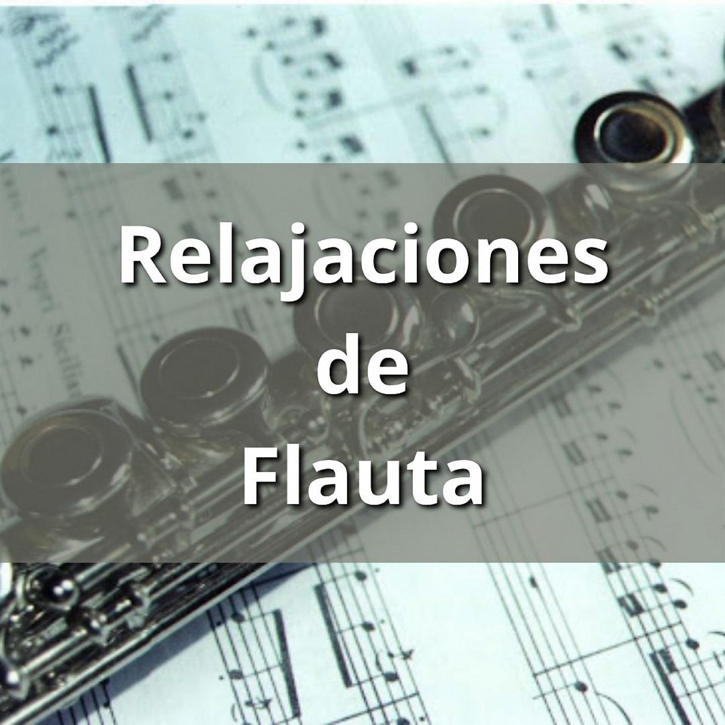 Постер альбома Relajaciones de Flauta