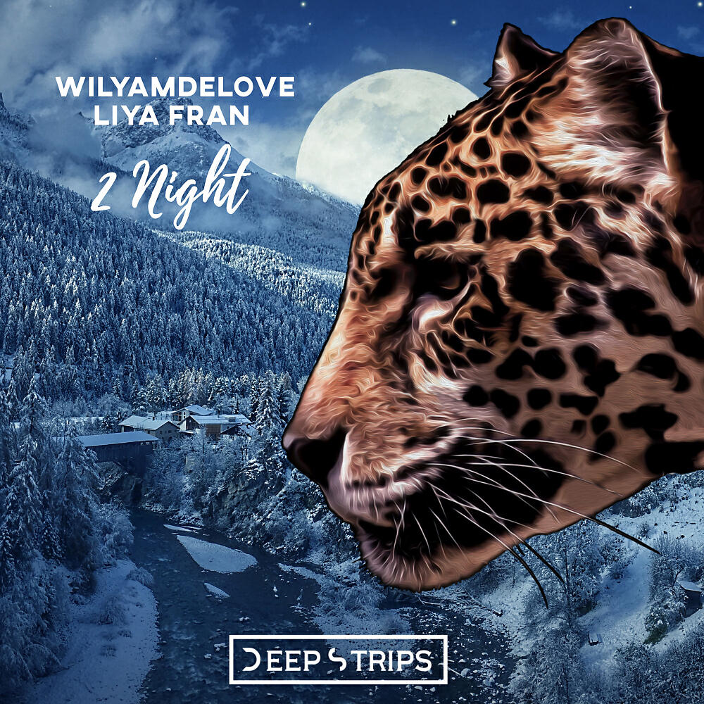 WilyamDeLove - 2Night (Original Mix)