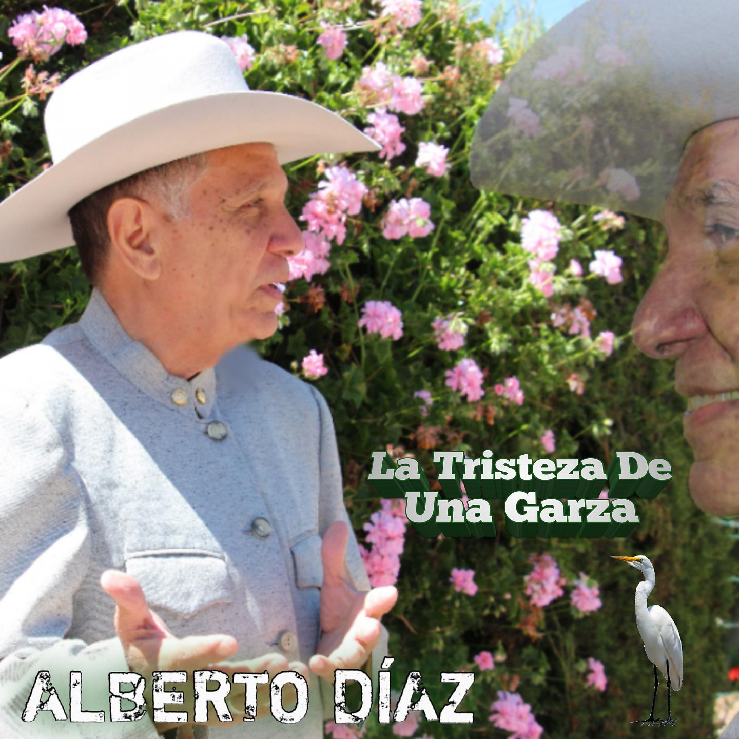 Постер альбома La Tristeza de una Garza