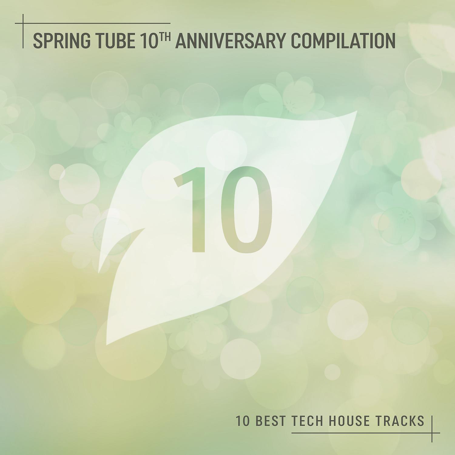 Постер альбома Spring Tube 10th Anniversary Compilation: 10 Best Tech House Tracks