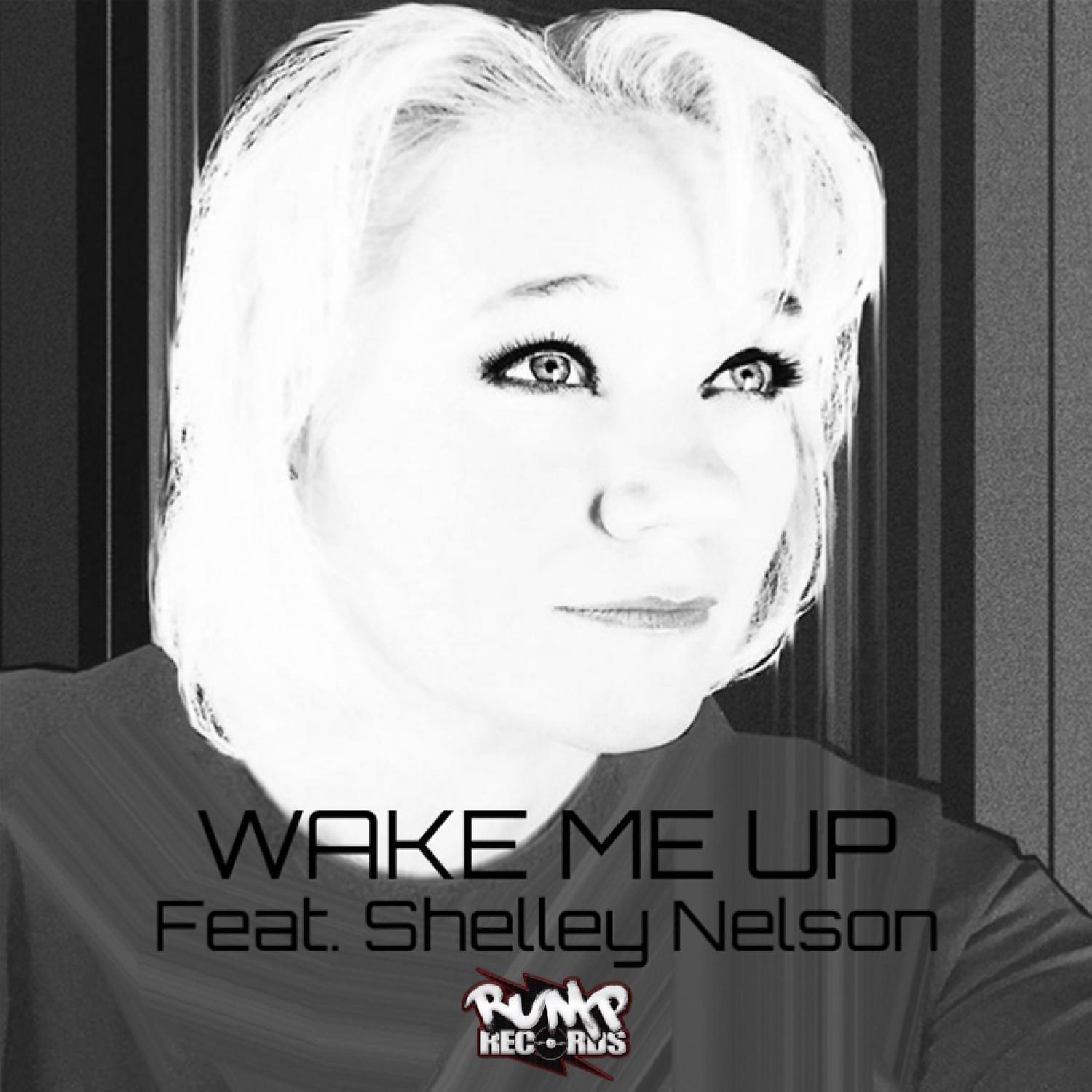 Постер альбома Wake Me up feat. Shelley Nelson