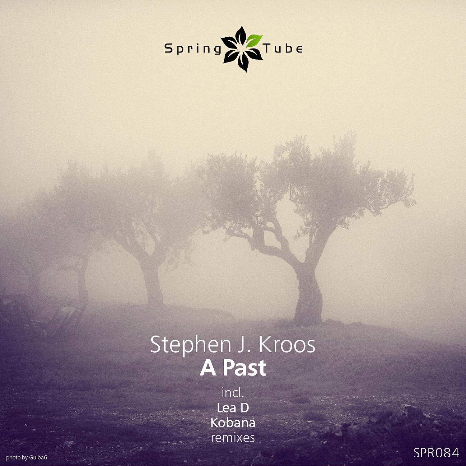 Stephen J. Kroos - A Past (Lea D Remix)