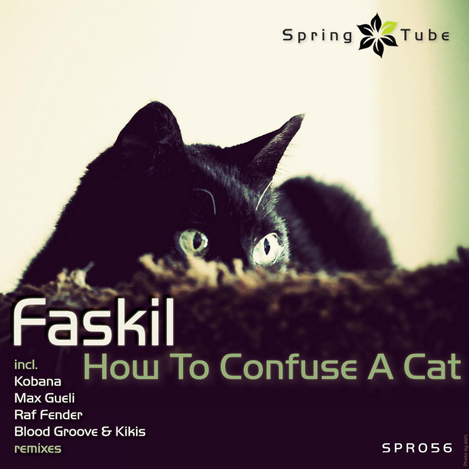 Faskil - How to Confuse a Cat (Raf Fender Remix)