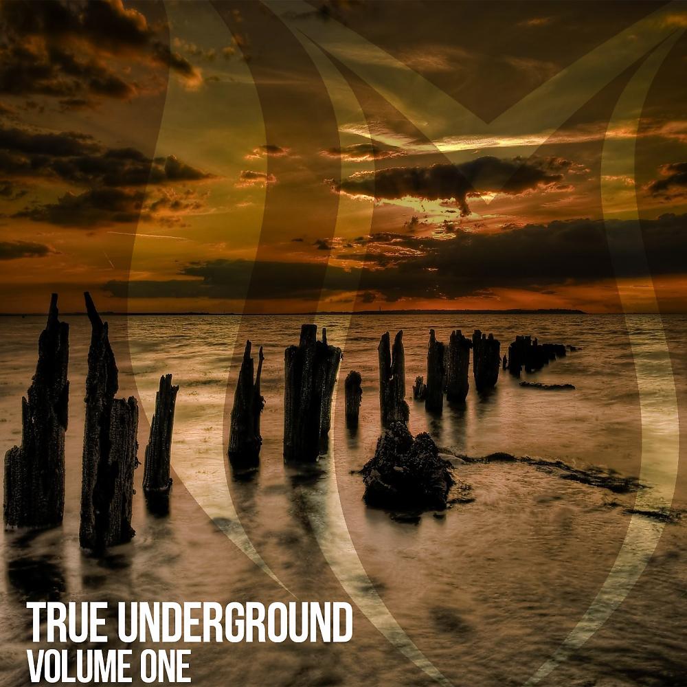 Постер альбома True Underground, Vol. 1