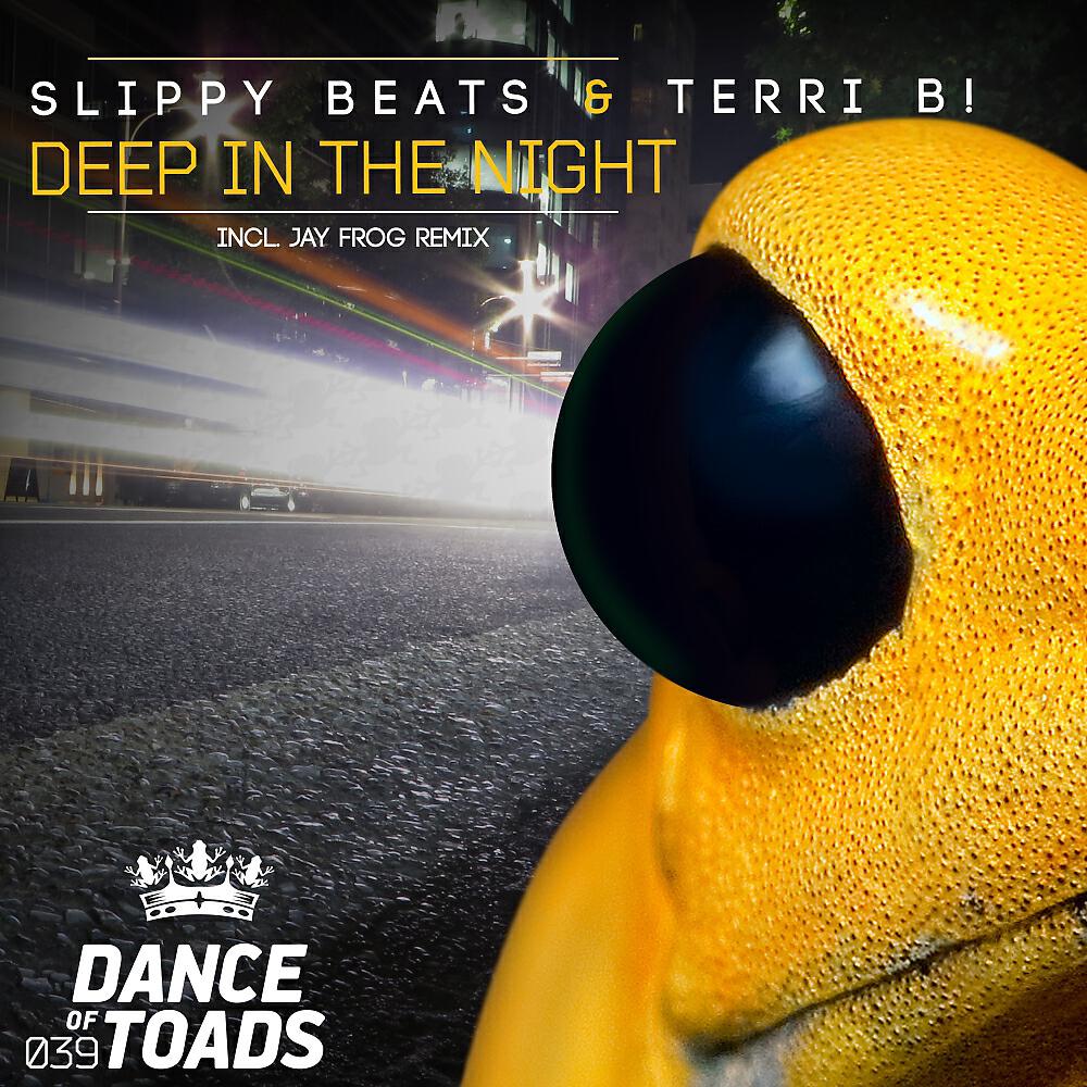 Slippy Beats - Deep In The Night (Maui´s Tropical Beach Remix)