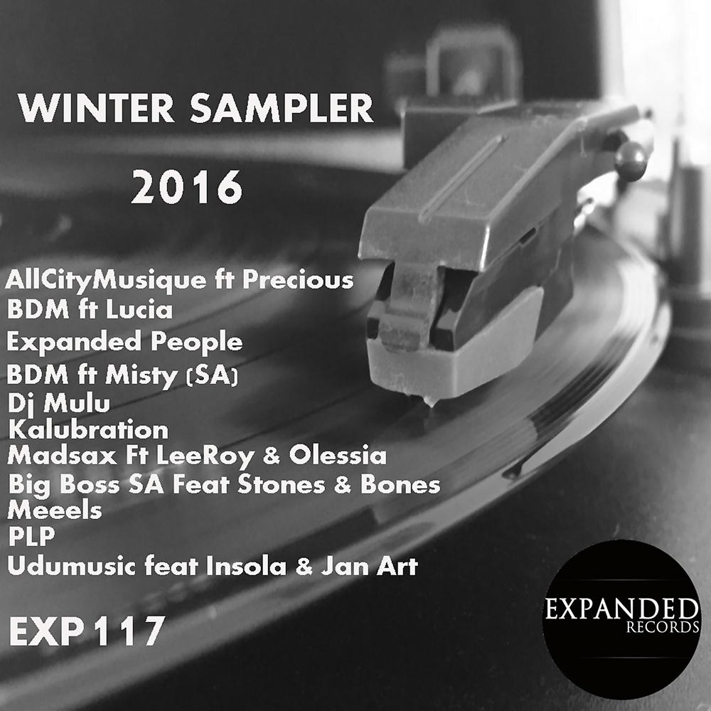 Постер альбома Winter Sampler 2016