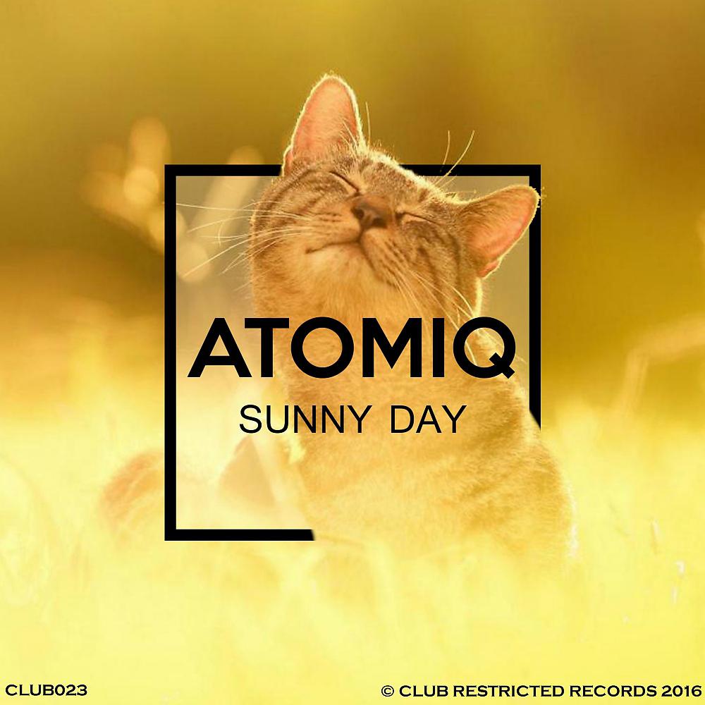 Постер альбома Sunny Day