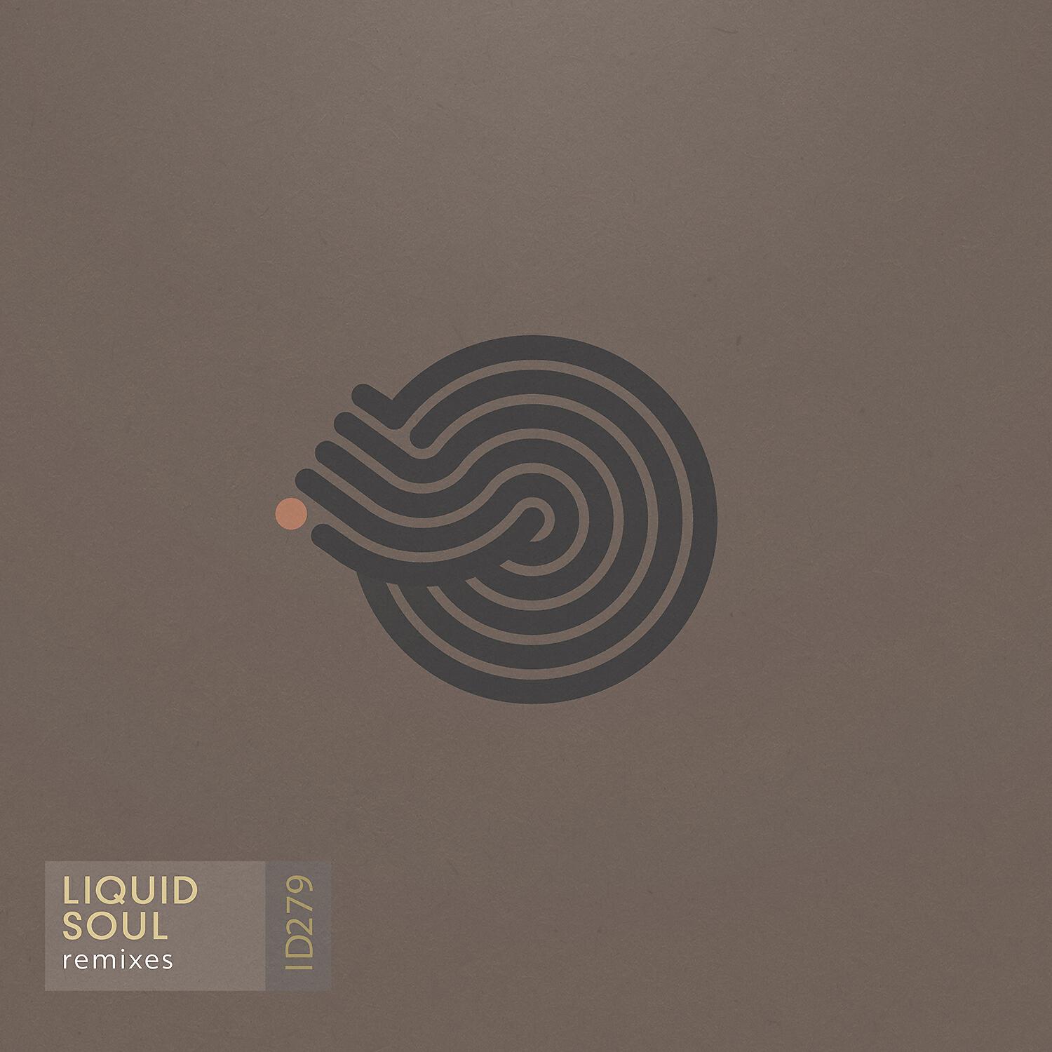 Liquid Soul - Devotion (Suduaya Remix)