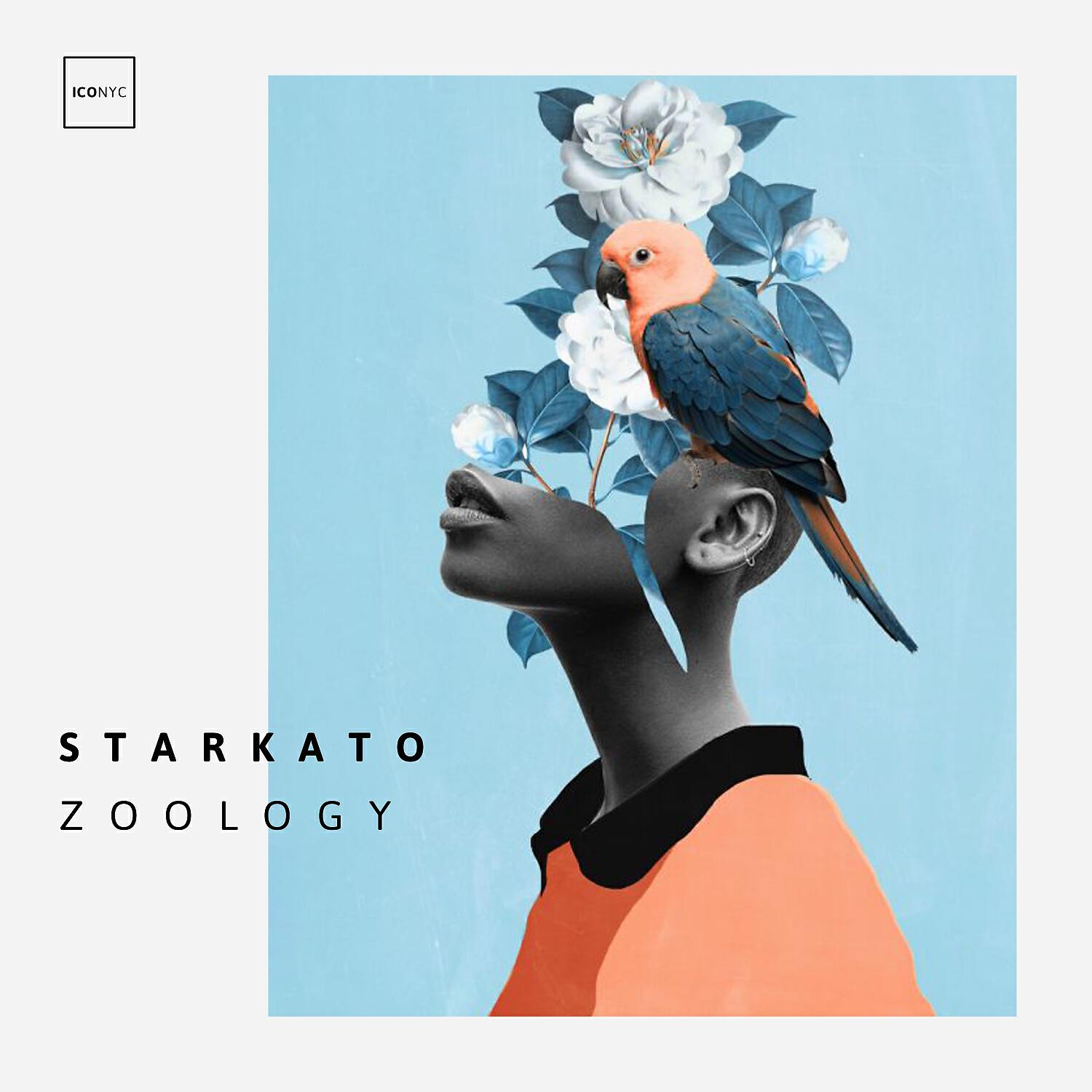 Starkato - Zoology (Original Mix)