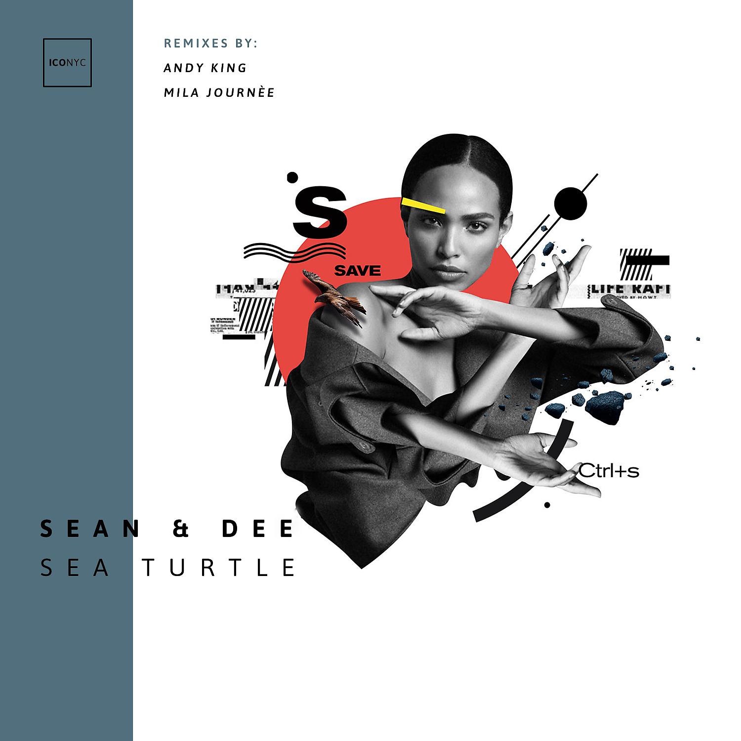 Постер альбома Sea Turtle