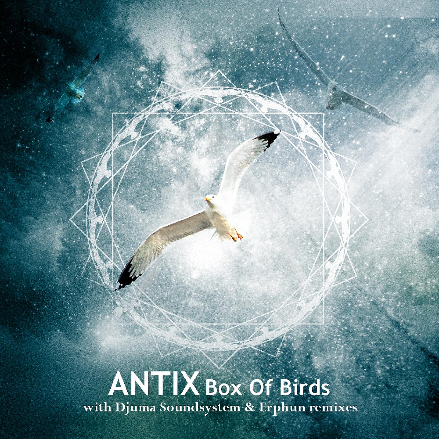 Antix - Box of Birds (Djuma Soundsystem Remix)