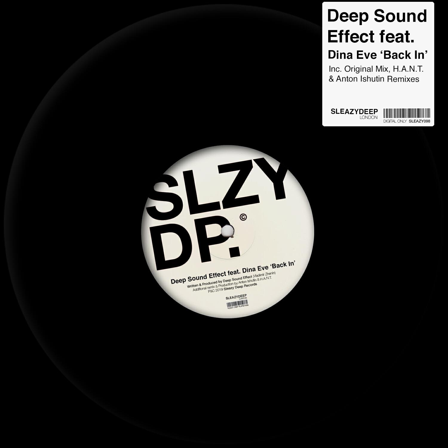 Deep Sound Effect - Back In (Original Mix)