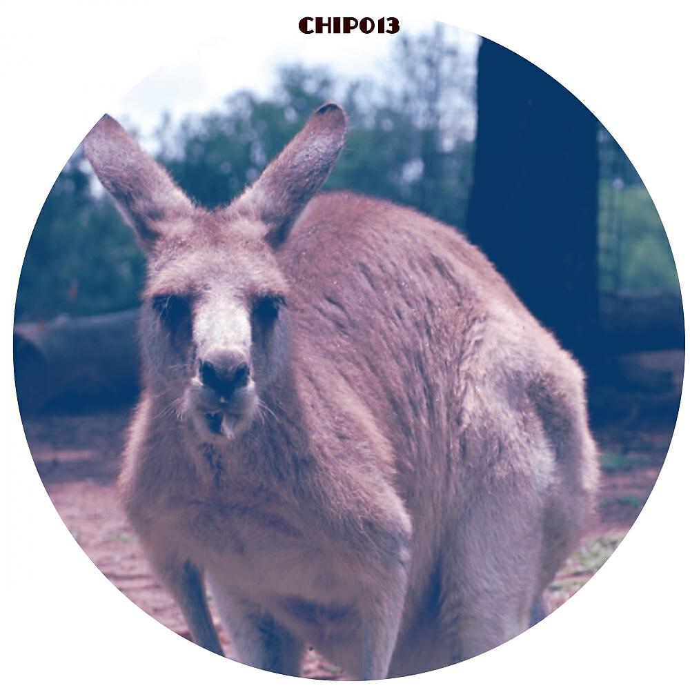 Dr Cryptic - Skippy (Dr. Oscillator Remix)