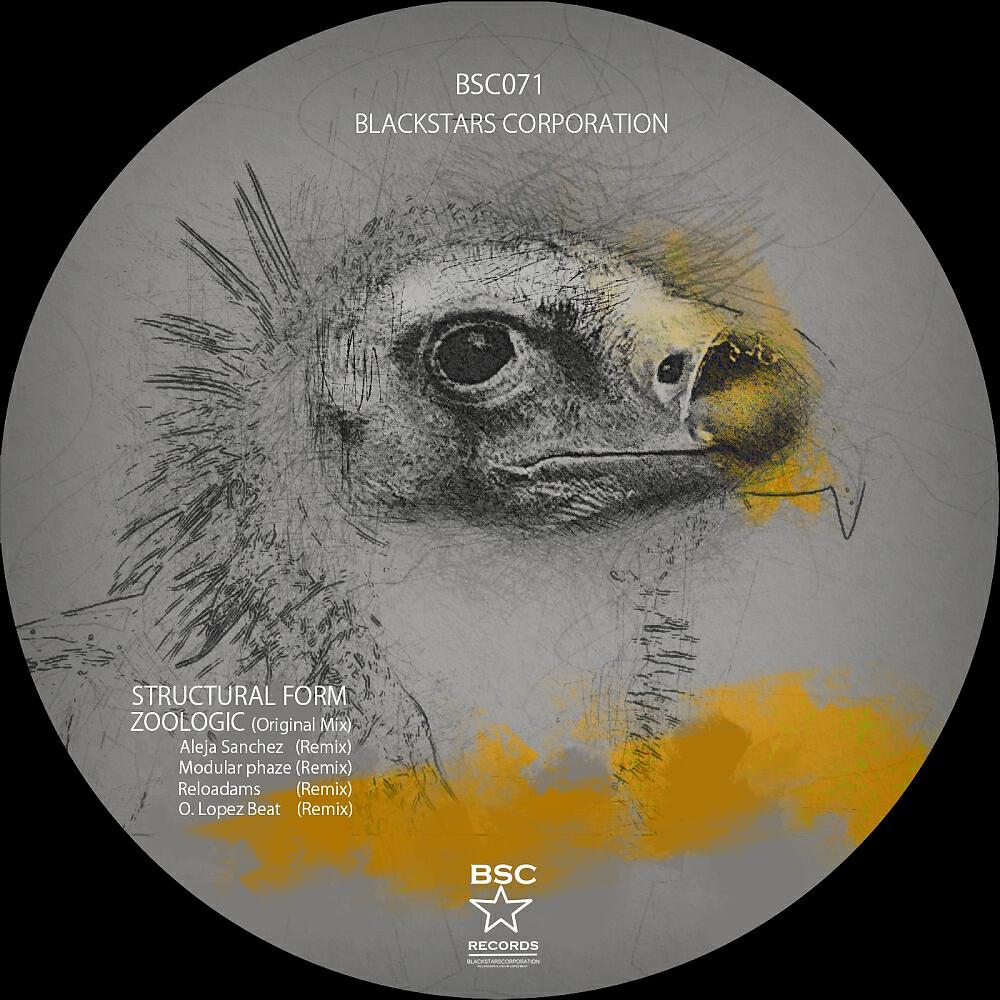 Structural Form - Zoologic