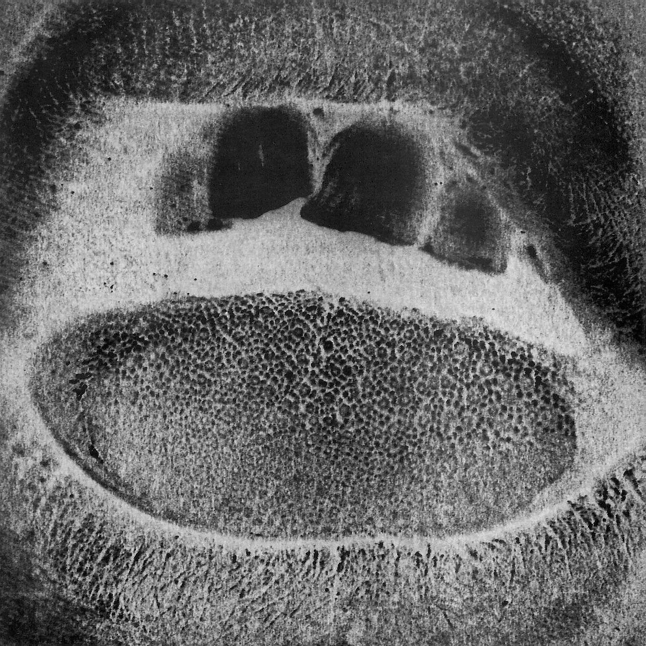 Skullflower - Big Muff