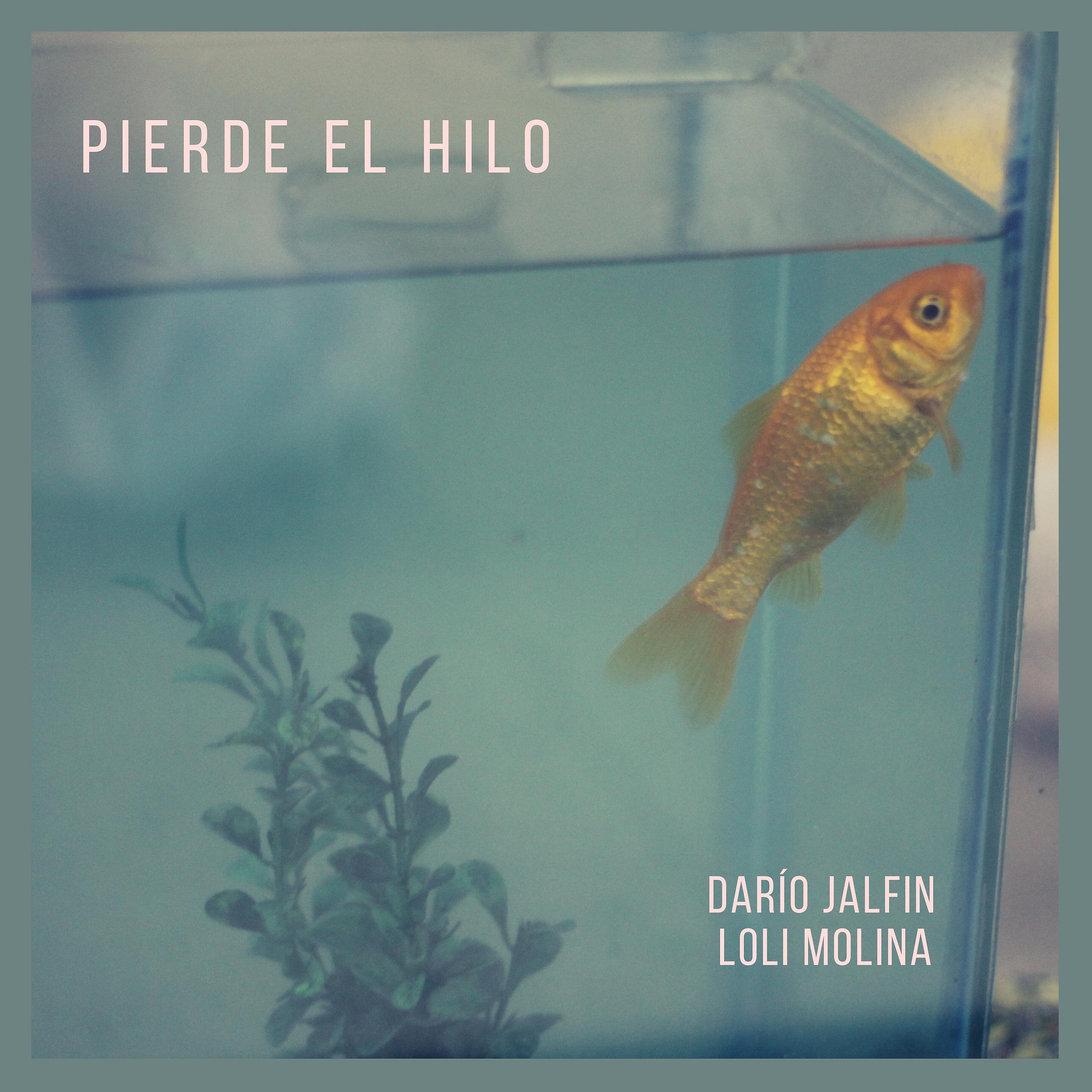 Постер альбома Pierde el Hilo