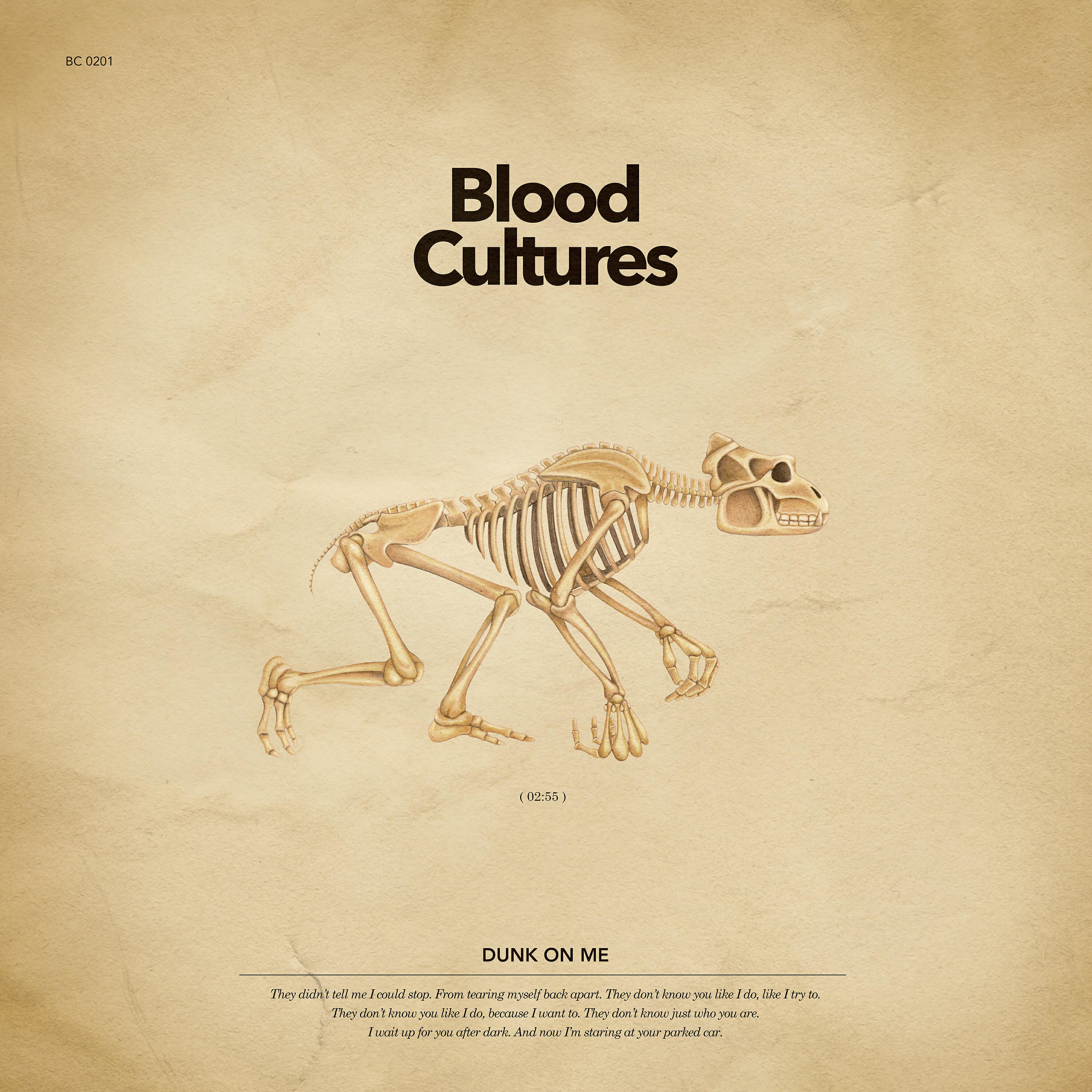 Blood cultures