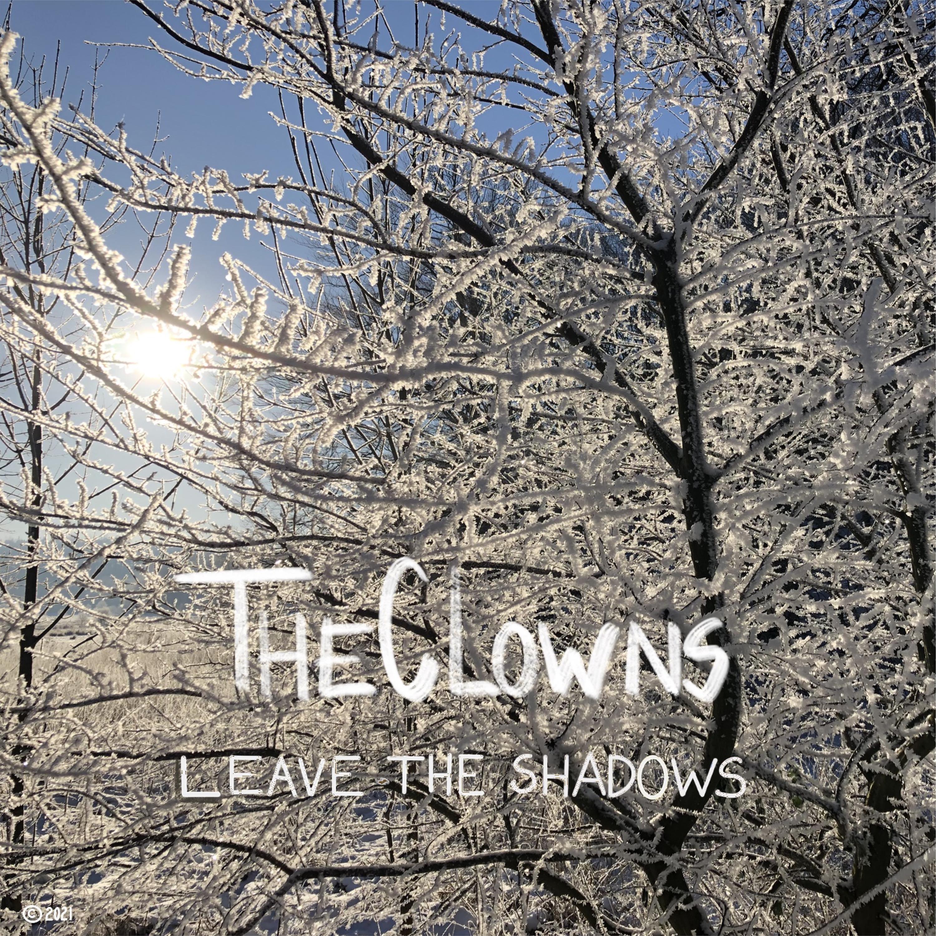 Постер альбома Leave the Shadows