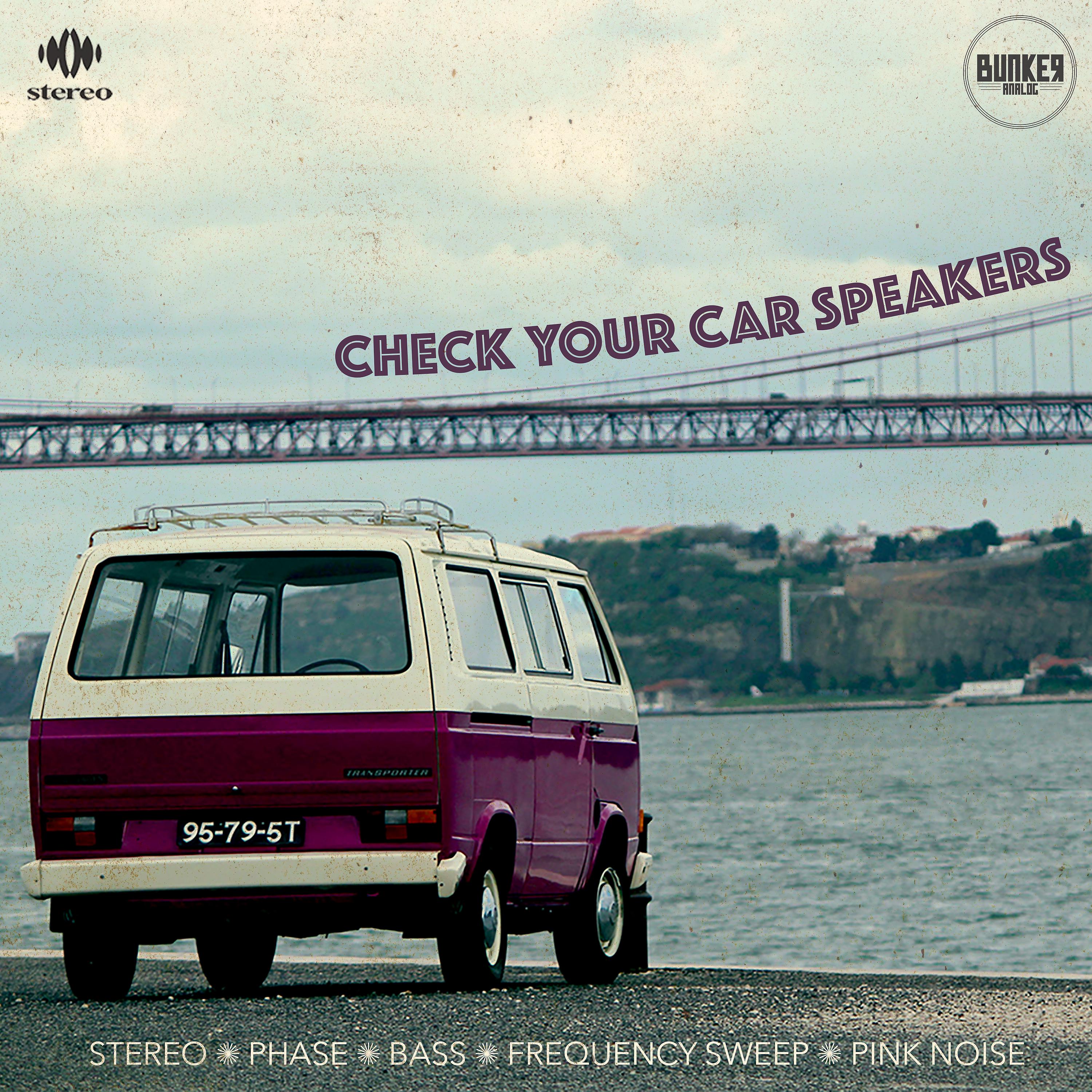 Постер альбома Check Your Car Speakers